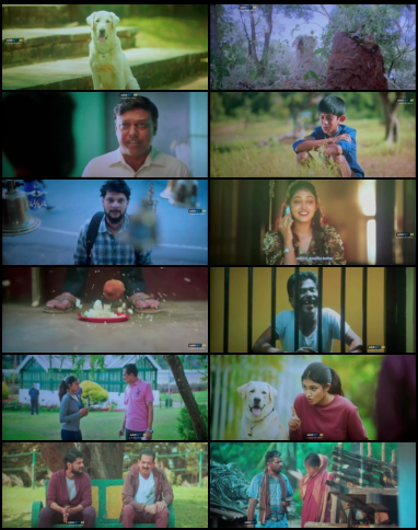  Naanu Matthu Gunda 2 2025 screenshot