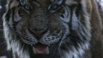  The Tiger 2015 screenshot