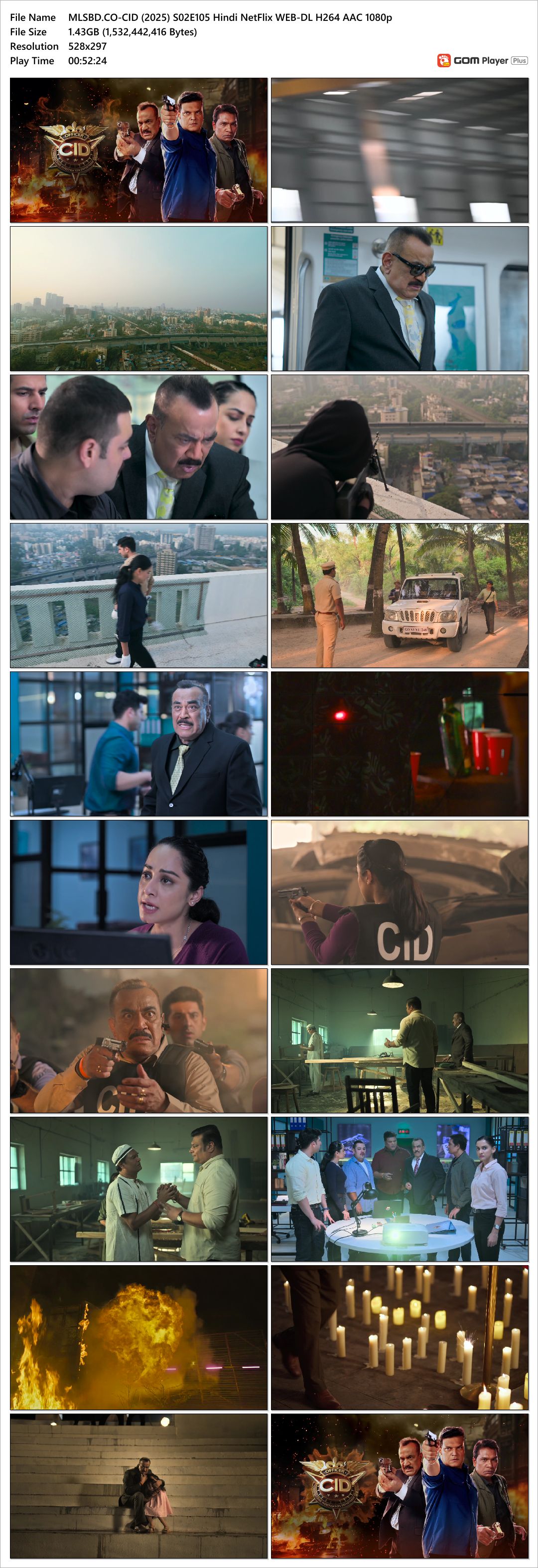CID (2024) S02