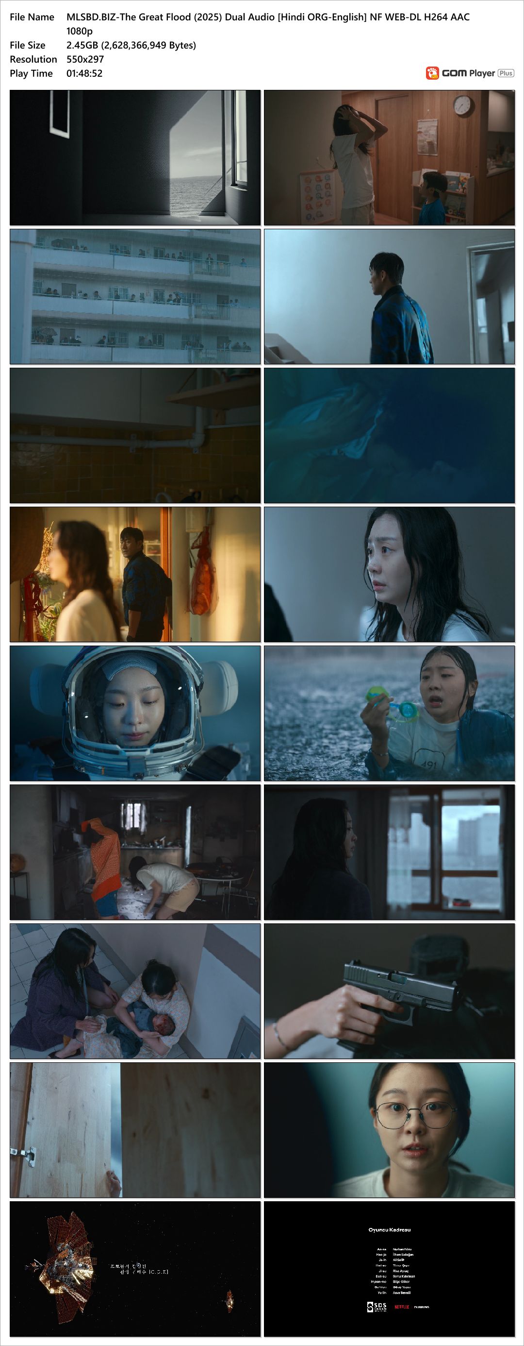 The Great Flood (2025)