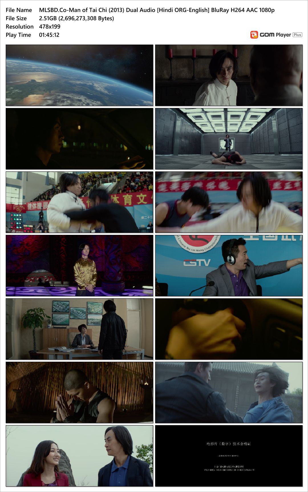 Man of Tai Chi (2013)