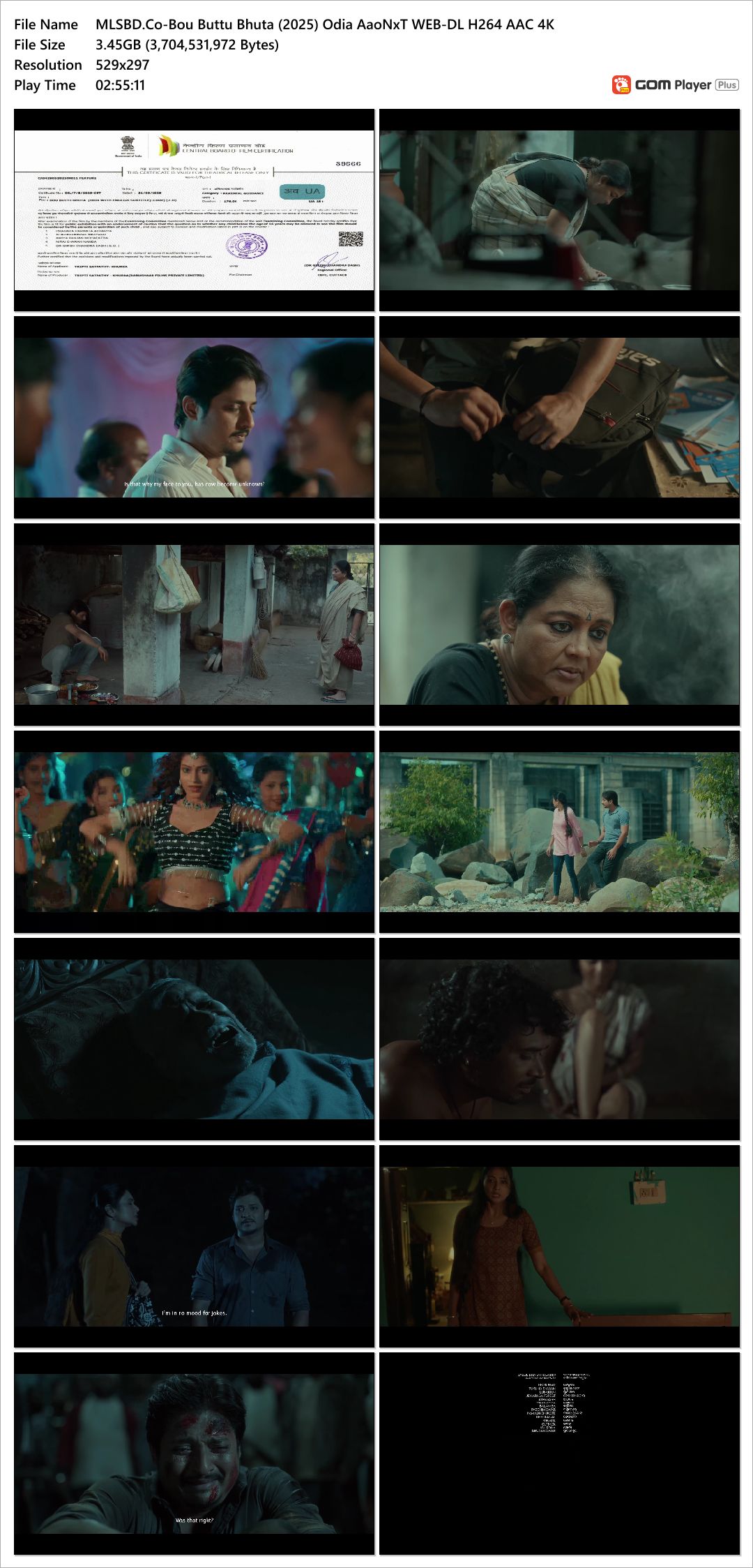 Bou Buttu Bhuta (2025)