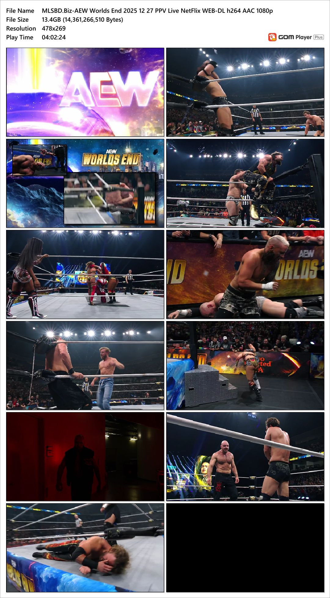 AEW Worlds End  (2025)