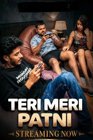 Teri Meri Patni (2026) Uncut Hindi Short Film 720p HDRip 150MB Download